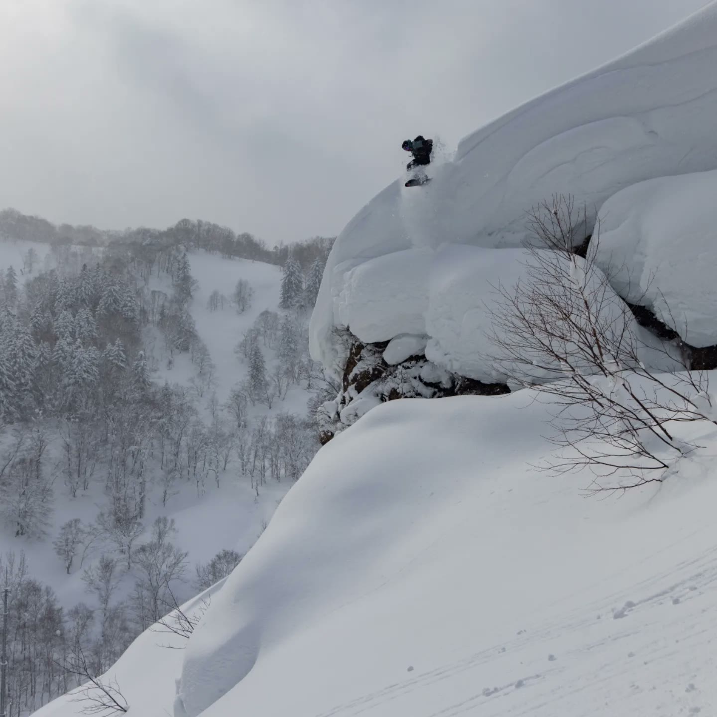 Backcountry snowboard drop in deep powder