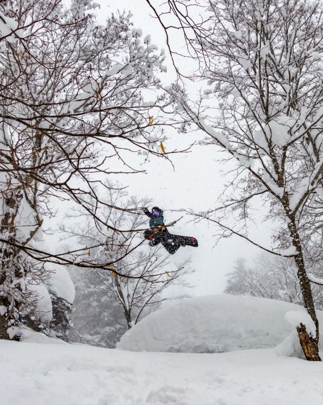 Snowboarder mid-air in a snowy forest