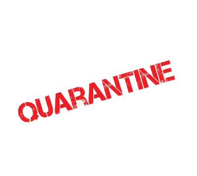 Quarantine Kitchen logo